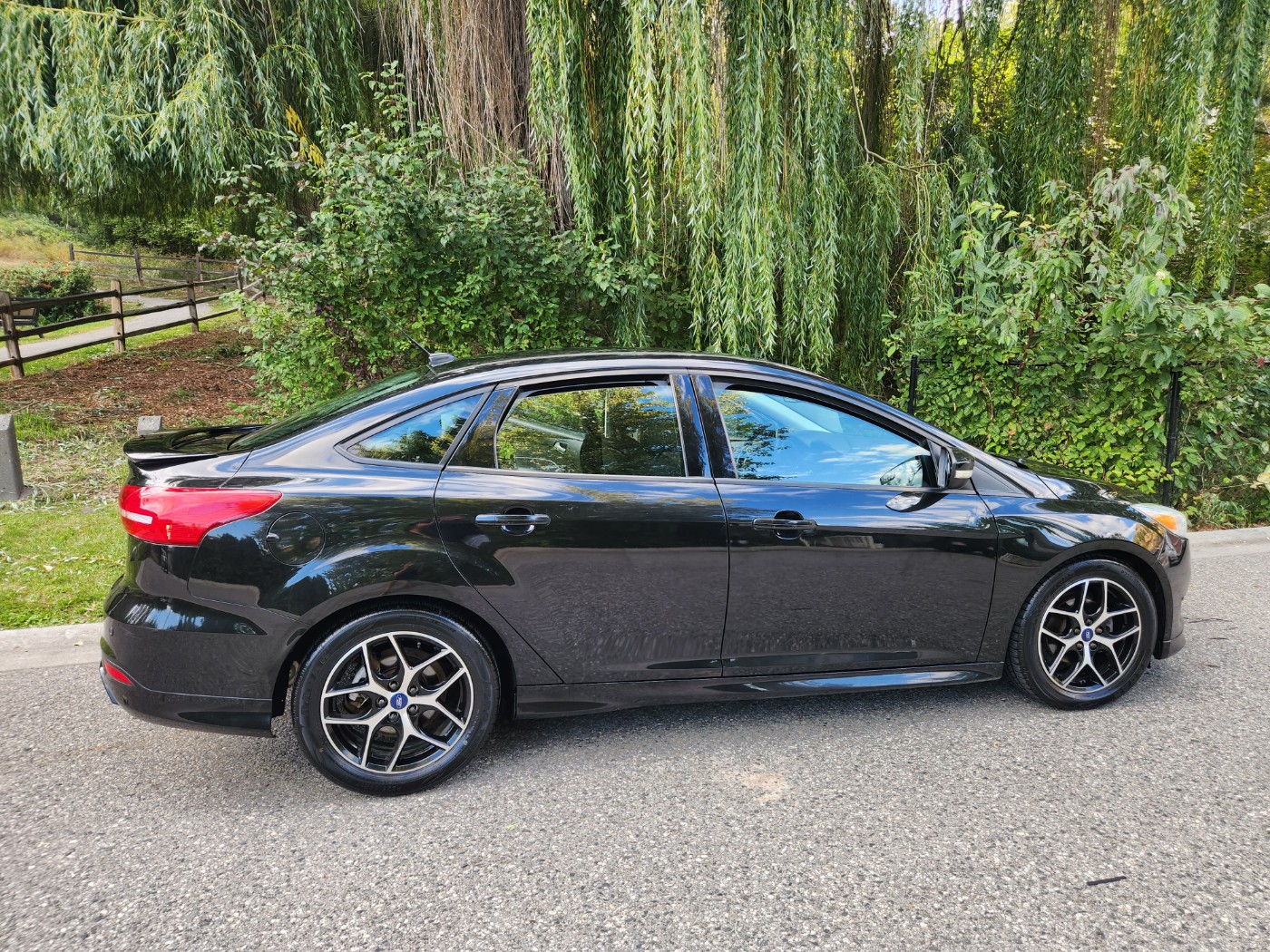 2015 Ford Focus SE 2015 Ford Focus SE