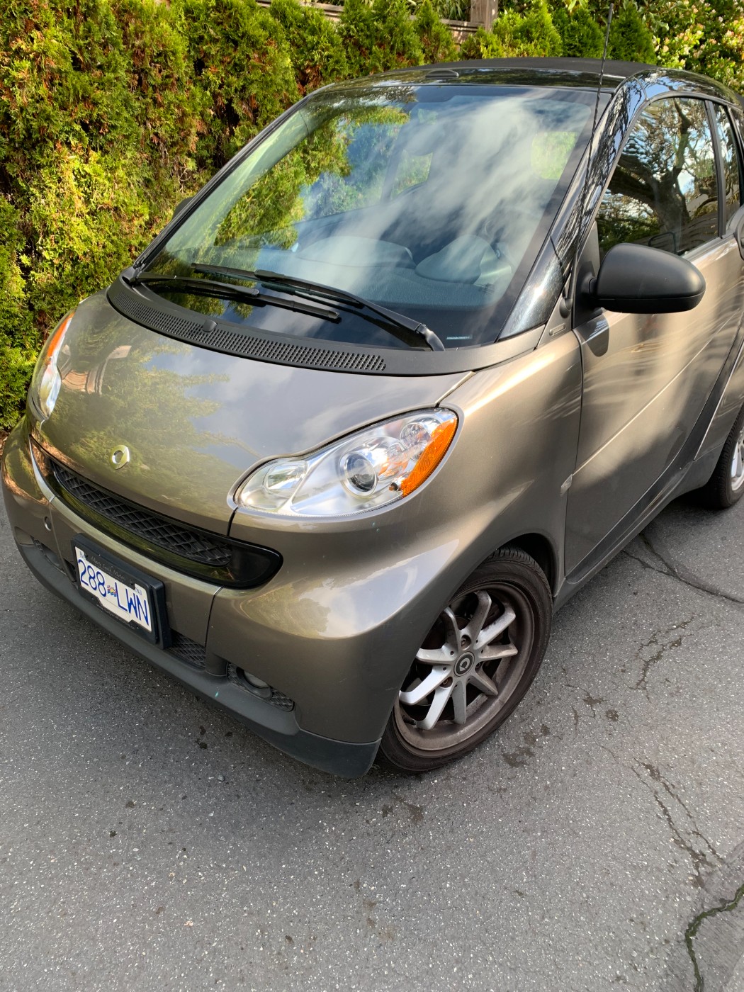 2010 Smart Fortwo Passion