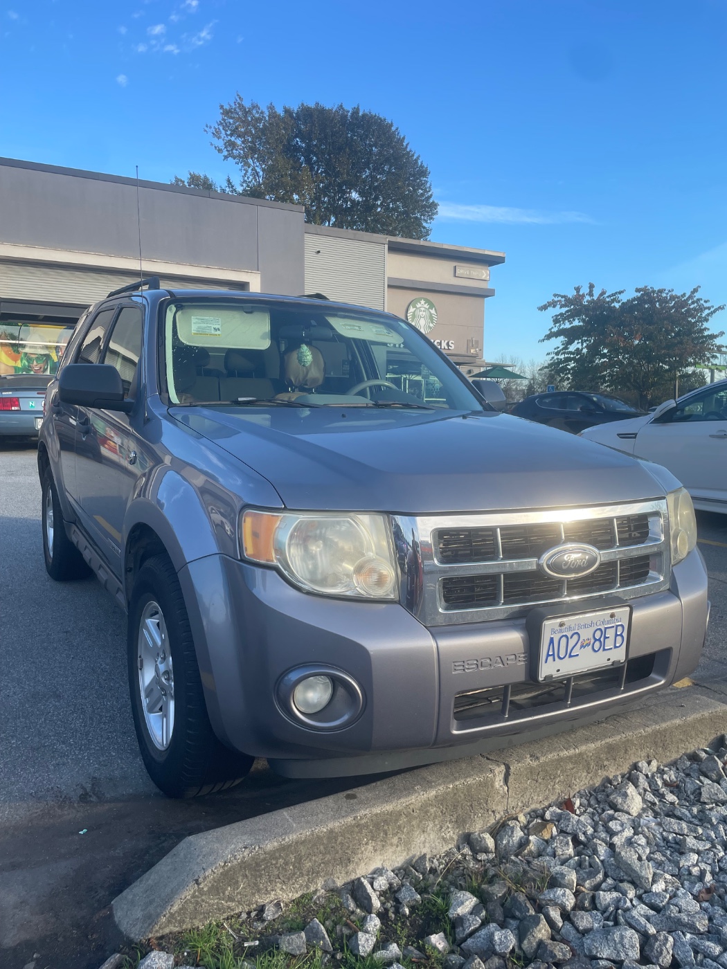 2008 Ford Escape Hybrid Base