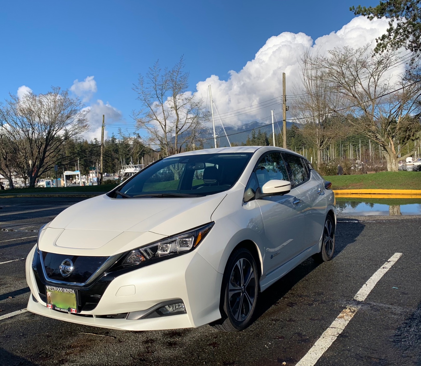2019 Nissan LEAF SV